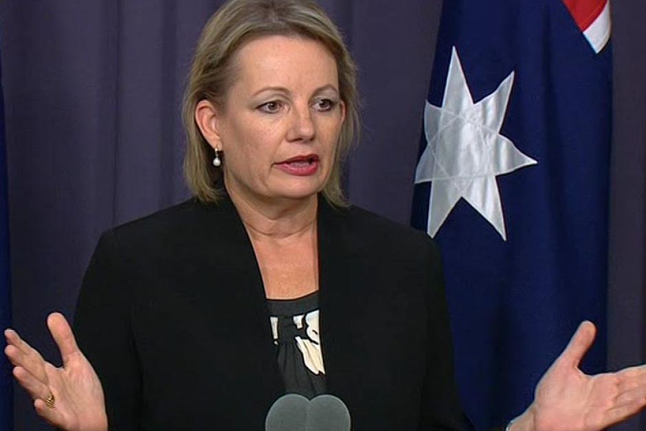 Health Minister Sussan Ley hepatitis c