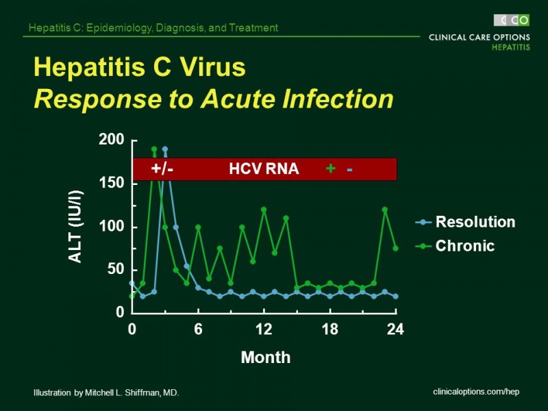 Hepatitis+C+Virus+Response+to+Acute+Infection.jpg