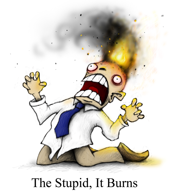 stupiditburns.png