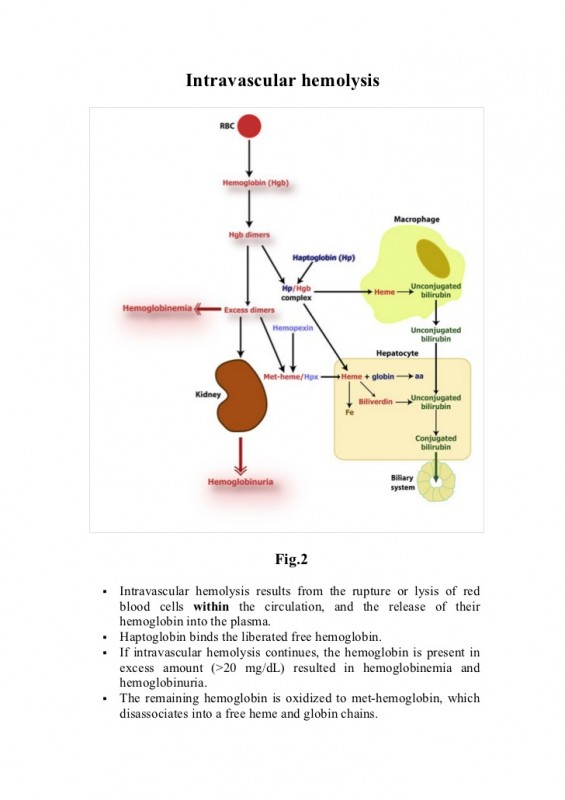 bilirubin-1-9-728.jpg