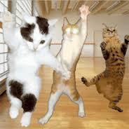 dancingkitties.jpg