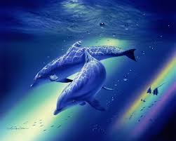 rainbowdolphins.jpg