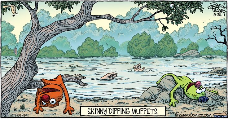 SkinnyDippinMuppets.jpg