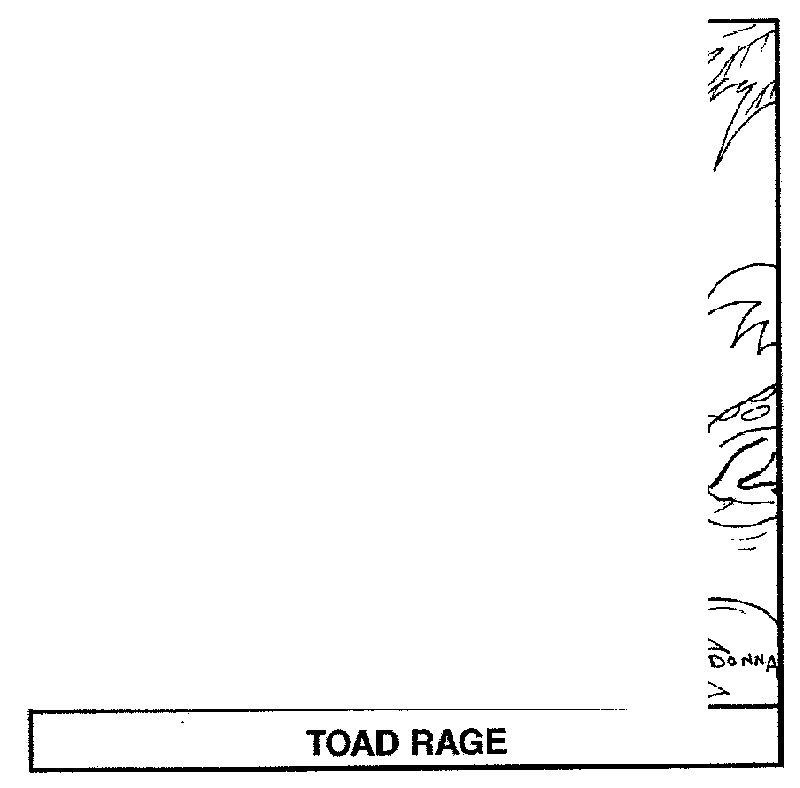 ToadRage.png