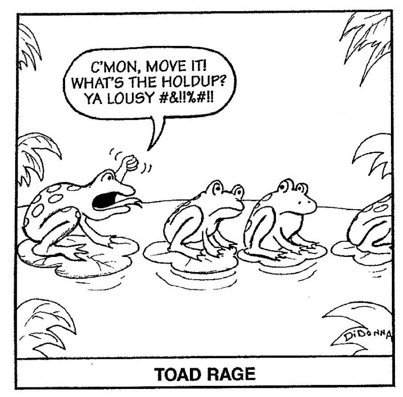 ToadRage2.jpg