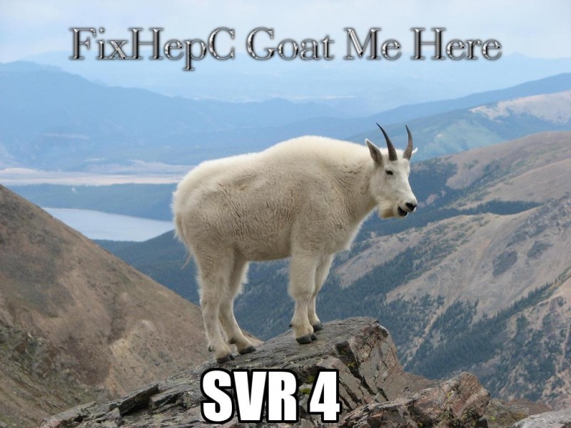 MtGoatSVR4.jpg