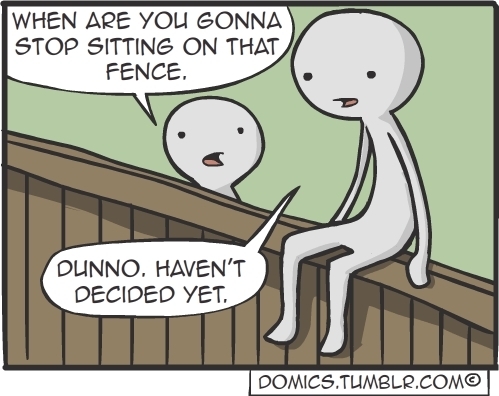 fence.jpg