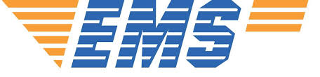 EMS logo