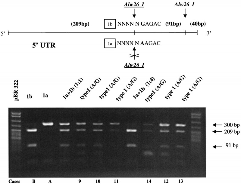 genotyping.jpg